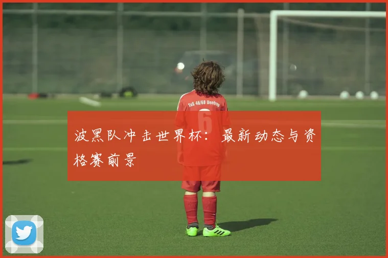 波黑队冲击世界杯：最新动态与资格赛前景